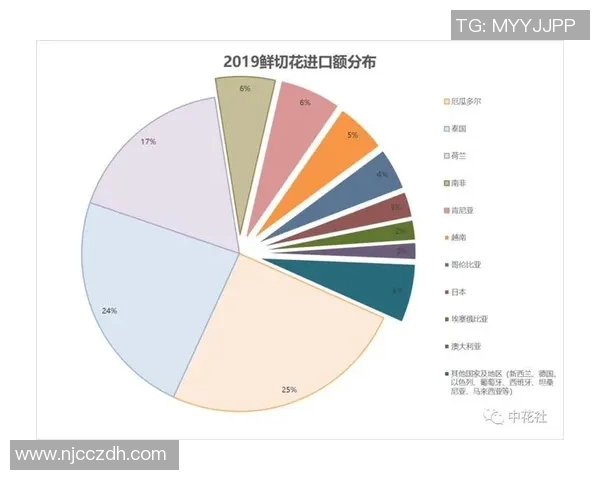 独家分析:深圳排球队的耐力对比 独家分析:深圳排球队的耐力对比