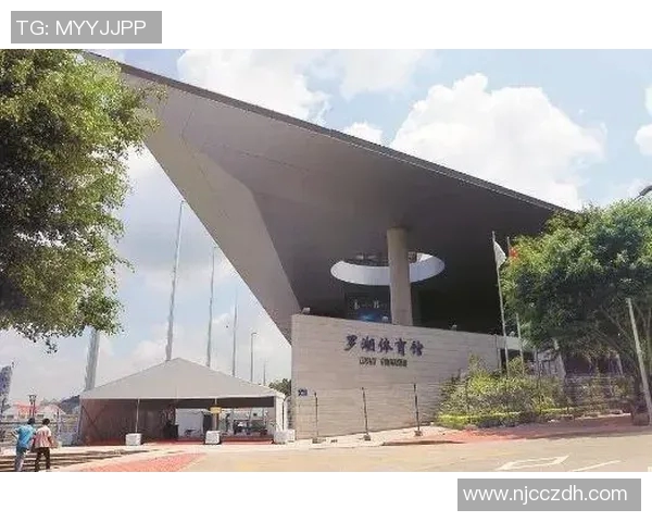 深圳乒乓球队转型升级之路探索与创新的深度剖析