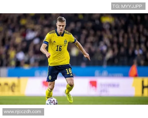 回顾1995年瑞典足球明星的辉煌历程与成就分析