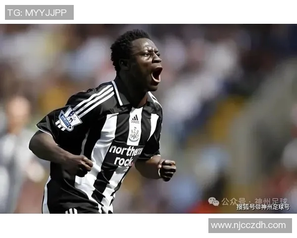 巴西足球明星泽卡的传奇之路与对足球的热爱与奉献